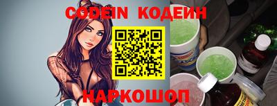 крисы Кулебаки
