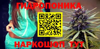 гидра Кунгур