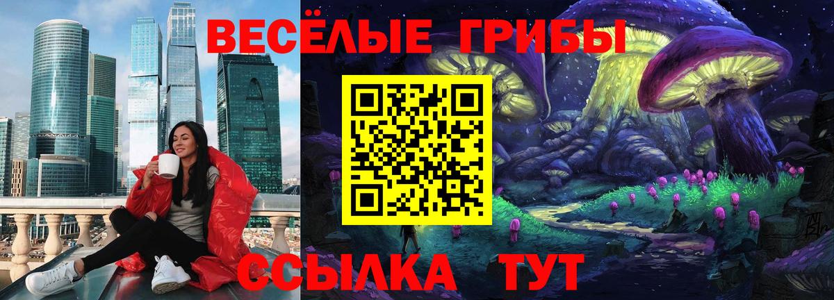 Ивантеевка  Галлюциногенные грибы Psilocybe  Вход с VPN  Галлюциногенные грибы ЛСД 